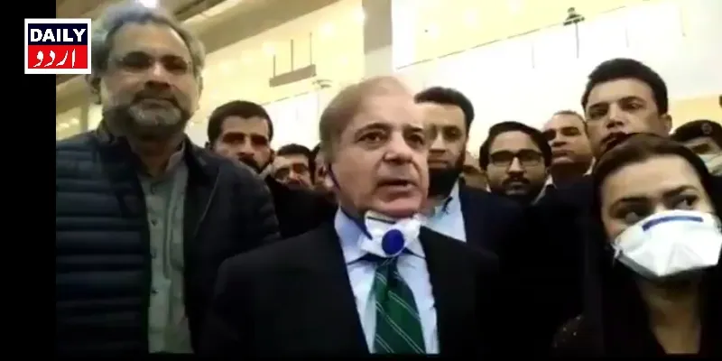 سیاست