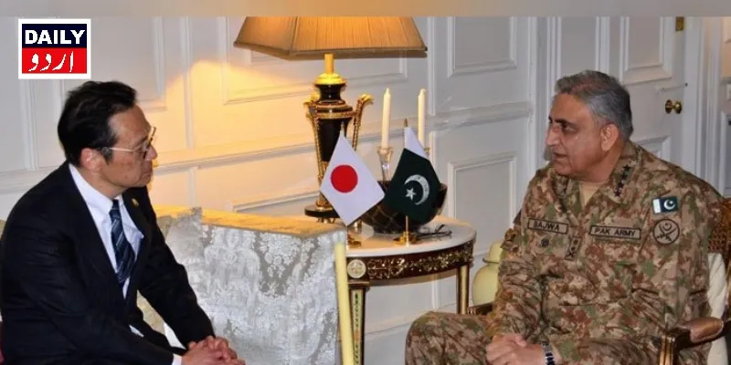 سیاست