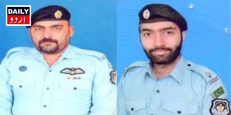 دہشتگردی