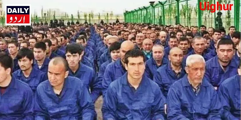 کرائمز