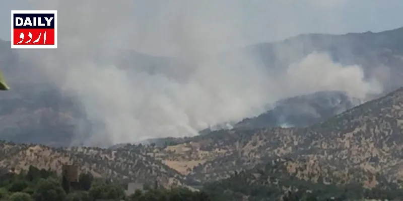دہشتگردی