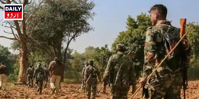 دہشتگردی