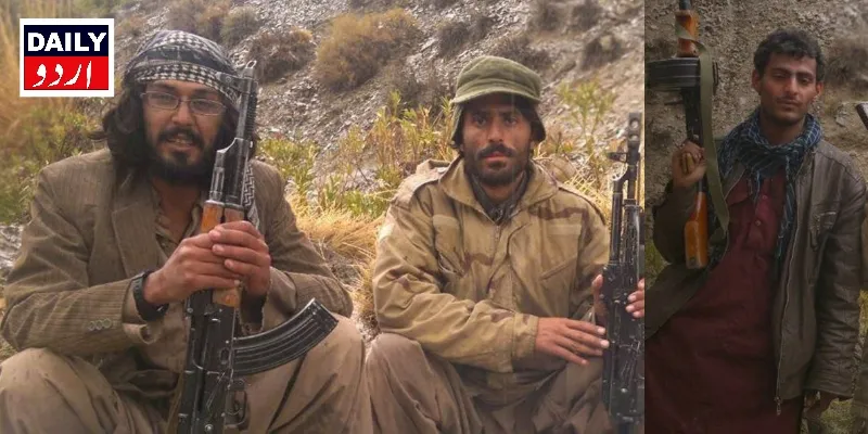 دہشتگردی