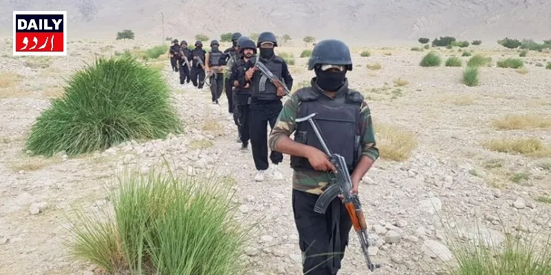 دہشتگردی