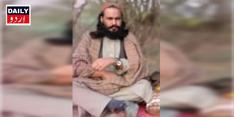 دہشتگردی