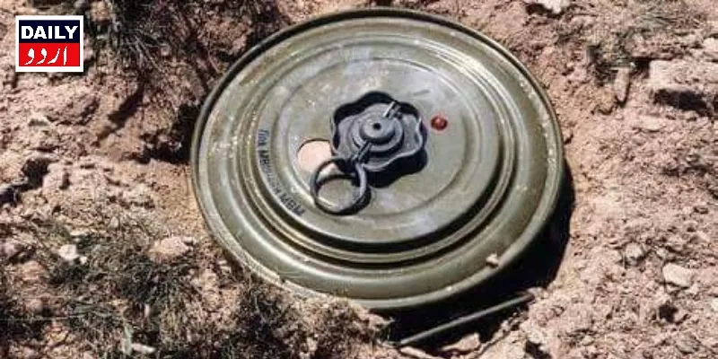 دہشتگردی