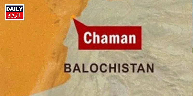 دہشتگردی