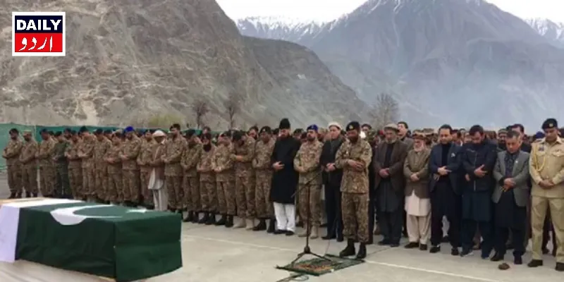 دہشتگردی