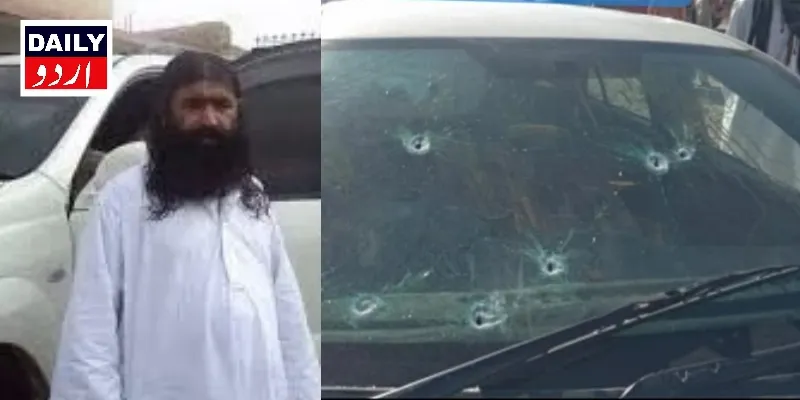 دہشتگردی