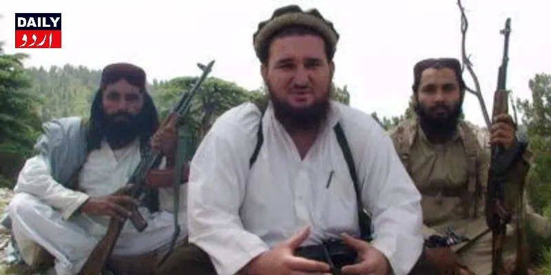 دہشتگردی