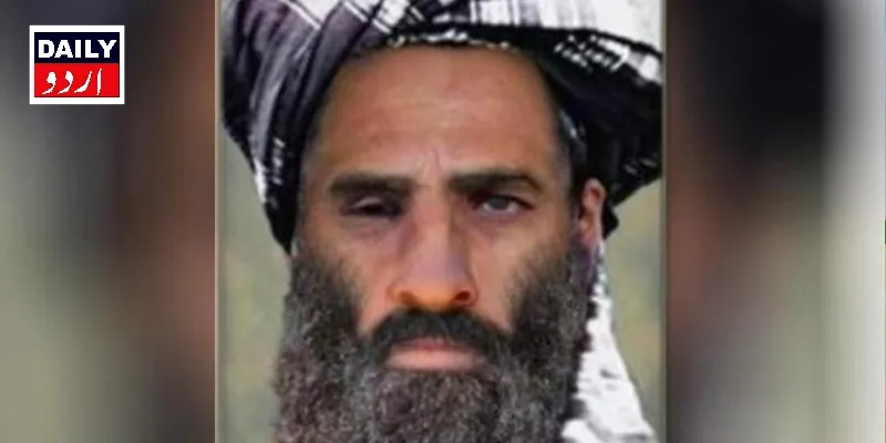 دہشتگردی