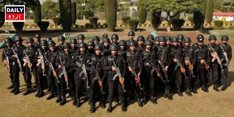 دہشتگردی