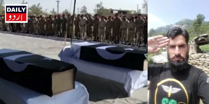 دہشتگردی