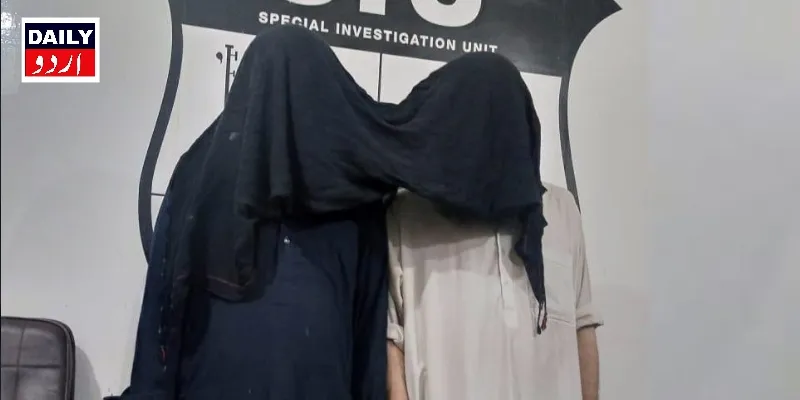 دہشتگردی