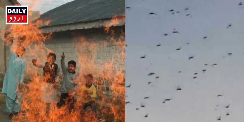 پاکستان