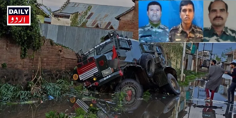 دہشتگردی