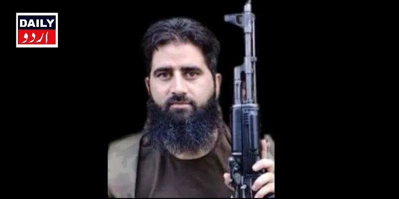 دہشتگردی