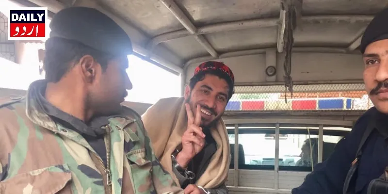 کورٹس