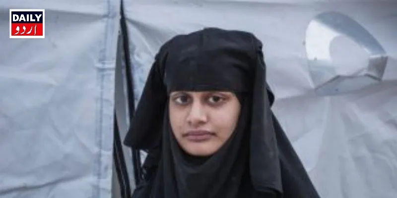 سیاست