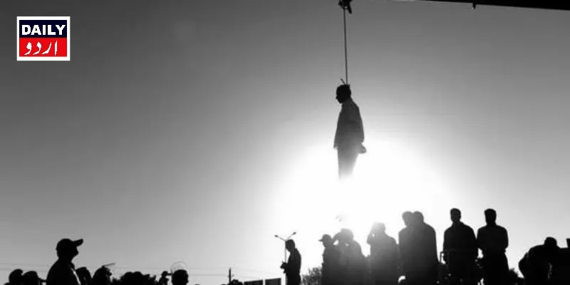 سیاست