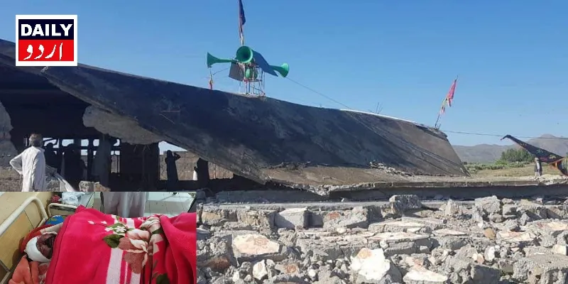 دہشتگردی