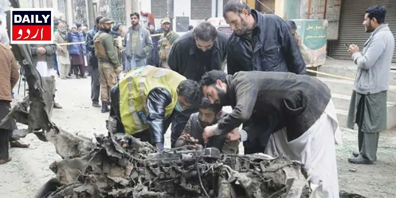 دہشتگردی