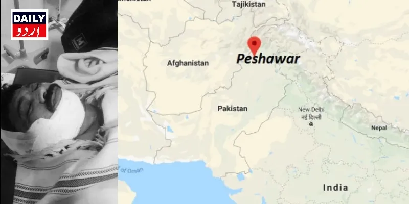 دہشتگردی