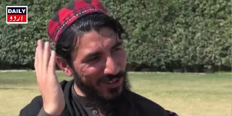 کورٹس