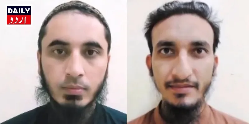 دہشتگردی