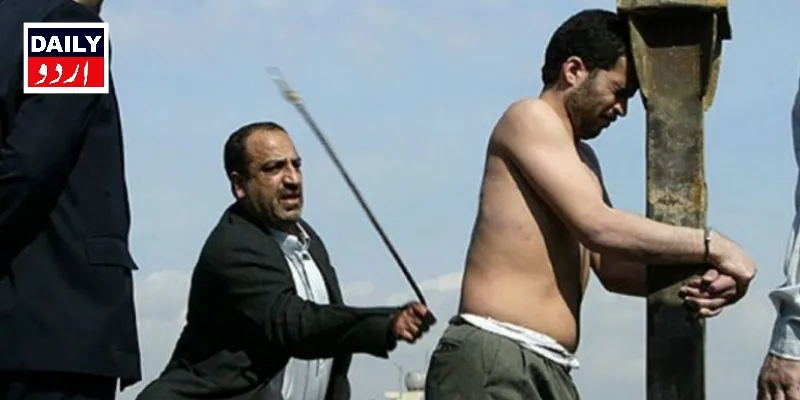 کورٹس