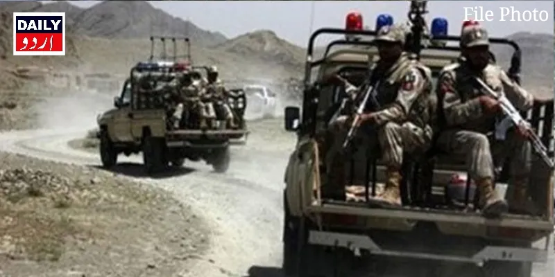 دہشتگردی
