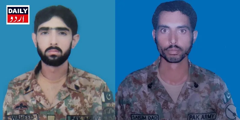 دہشتگردی