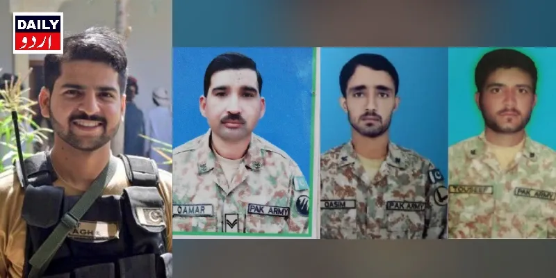 دہشتگردی