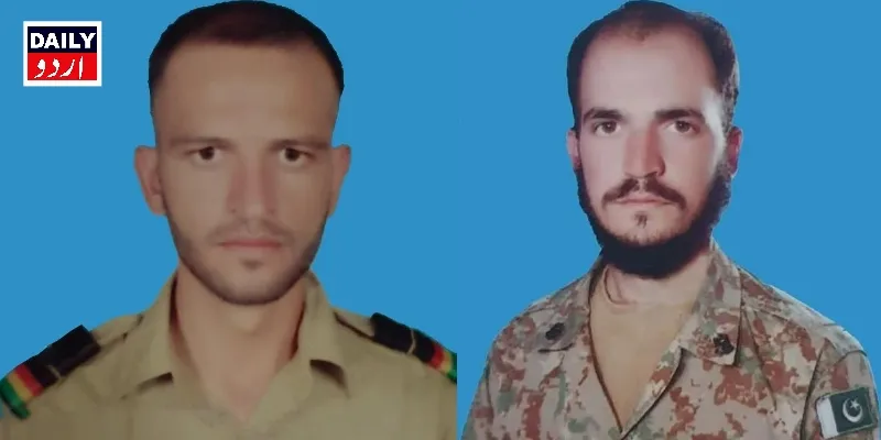 دہشتگردی