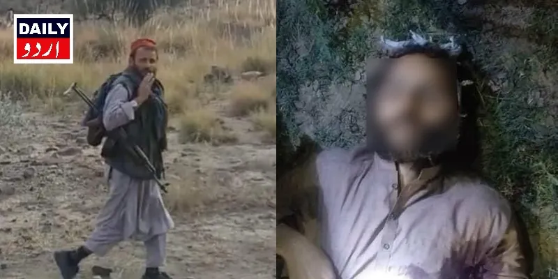 دہشتگردی