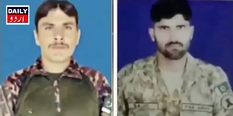 دہشتگردی