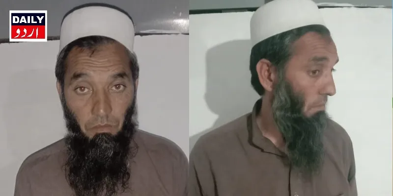 دہشتگردی