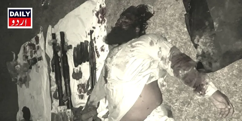 دہشتگردی