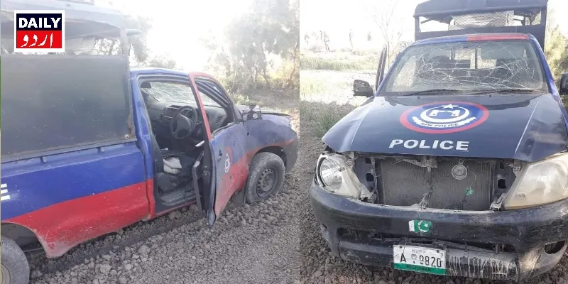 دہشتگردی