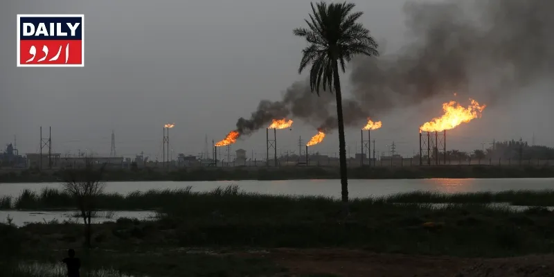 دہشتگردی