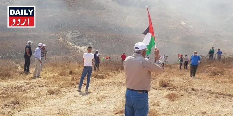 بین الاقوامی
