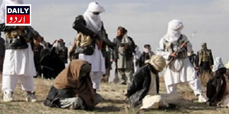 دہشتگردی