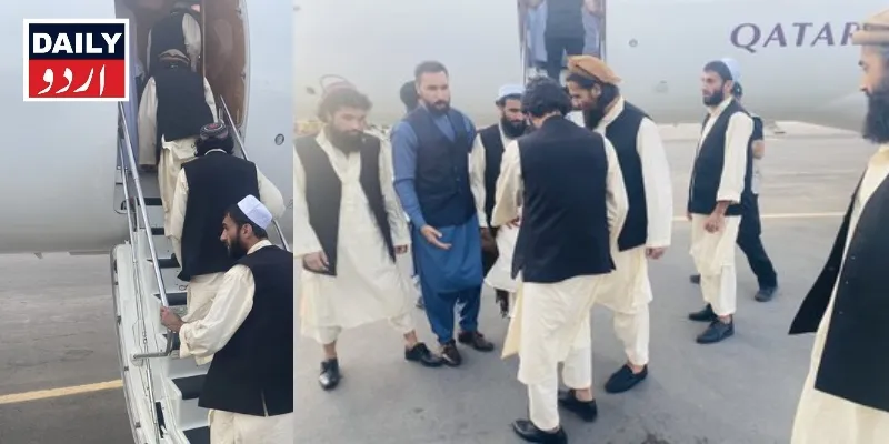سیاست