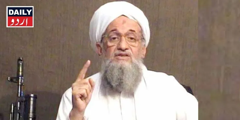 دہشتگردی