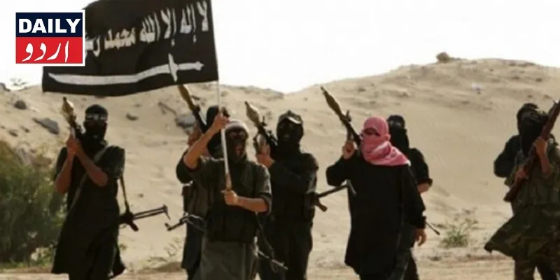 دہشتگردی