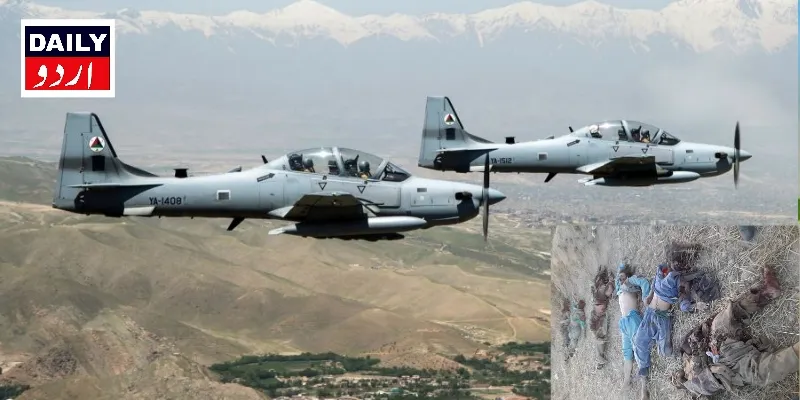 دہشتگردی
