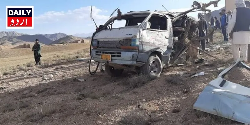 دہشتگردی