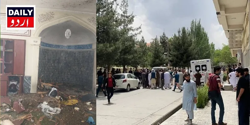 دہشتگردی