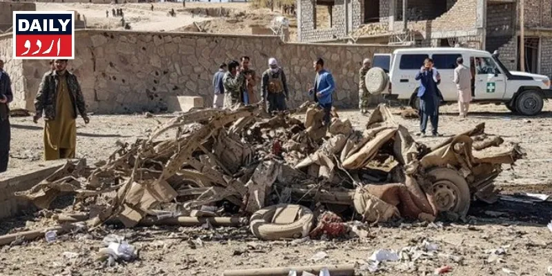 دہشتگردی