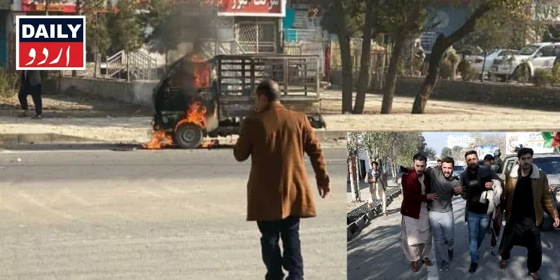 دہشتگردی